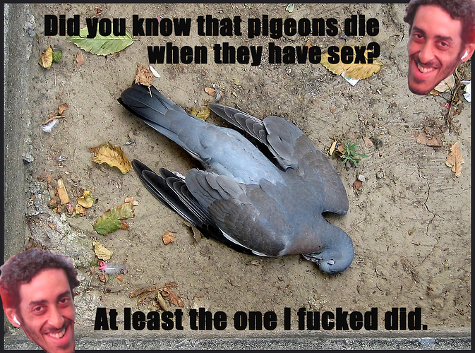 pigeonfucker