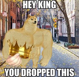 Hey-king-you-dropped-this-meme-6