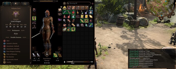 Experience whackyadoodle