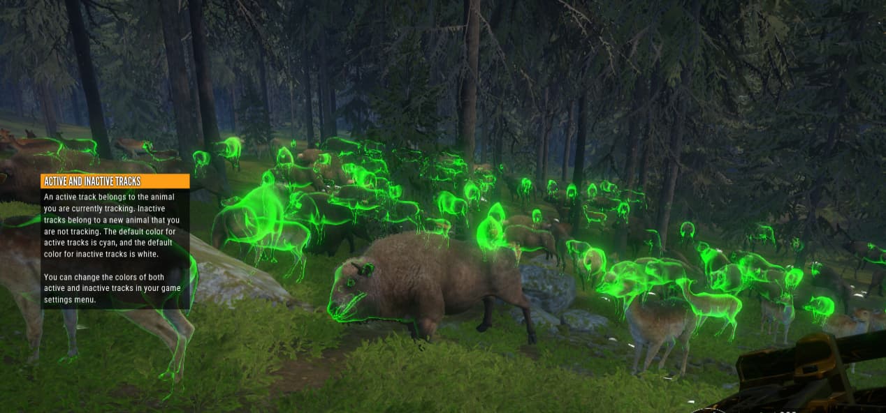 Steam Community :: :: General Wild Animal Spawn Points