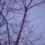 drywater