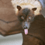 Spud_the_Devourer