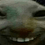 xddpai